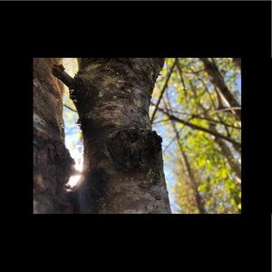 Meet your Posher, Chloe